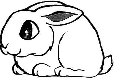 kralik.gif